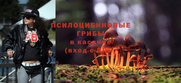 не бодяженный Алзамай