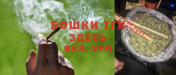 мет Алексин