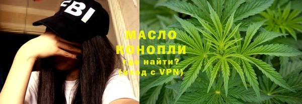 мет Алексин
